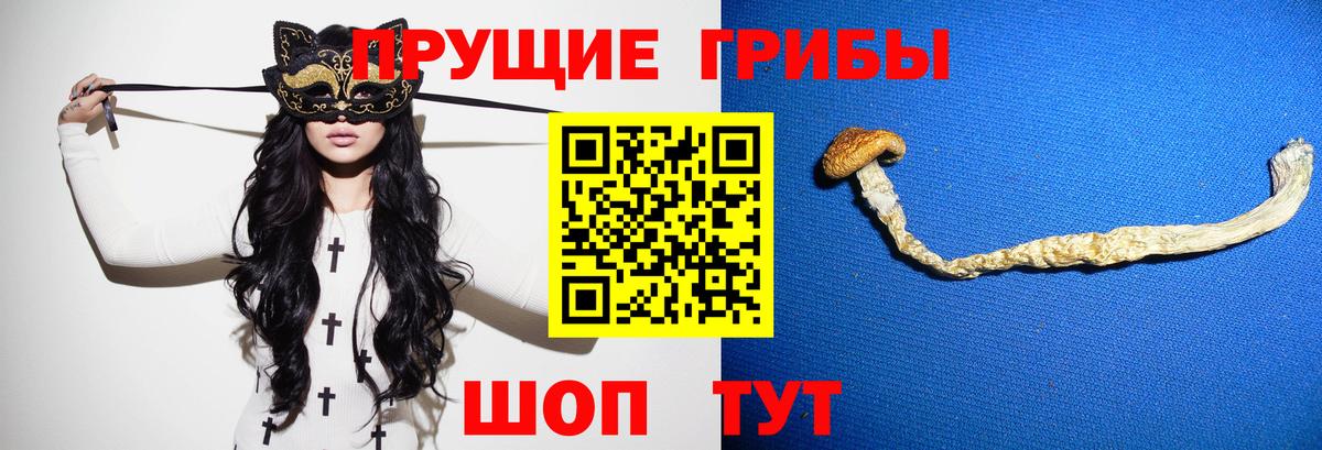 Волоколамск  Псилоцибиновые грибы Psilocybe  Псилоцибиновые грибы GOLDEN TEACHER  Вход с VPN 